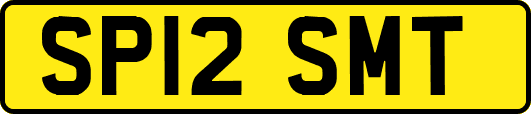 SP12SMT