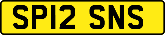 SP12SNS