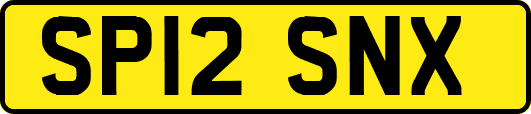 SP12SNX
