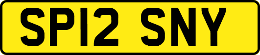 SP12SNY