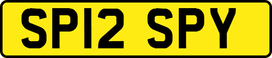 SP12SPY