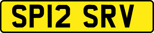 SP12SRV