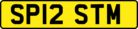 SP12STM