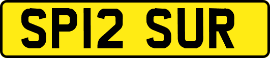 SP12SUR