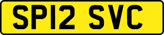 SP12SVC