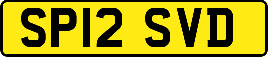 SP12SVD