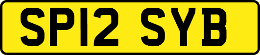SP12SYB