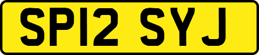 SP12SYJ