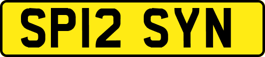 SP12SYN