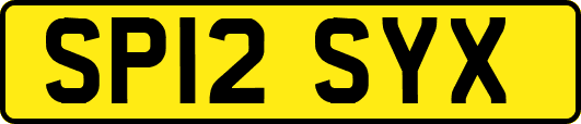 SP12SYX