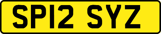 SP12SYZ