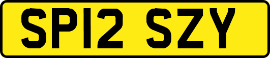 SP12SZY