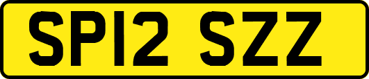 SP12SZZ