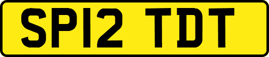 SP12TDT