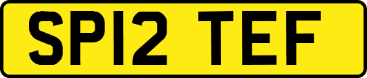 SP12TEF