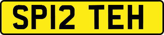 SP12TEH