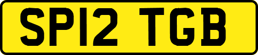 SP12TGB