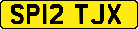 SP12TJX