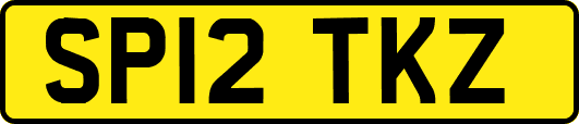 SP12TKZ
