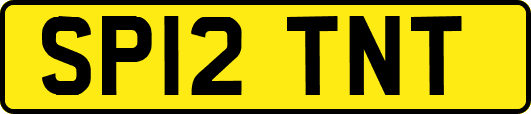 SP12TNT