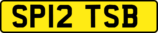 SP12TSB