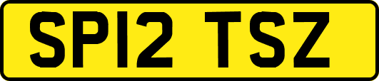 SP12TSZ