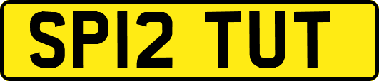 SP12TUT