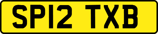 SP12TXB