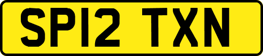 SP12TXN