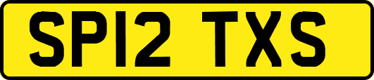SP12TXS