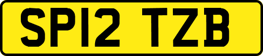 SP12TZB