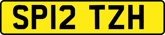 SP12TZH