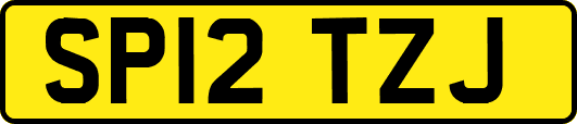 SP12TZJ