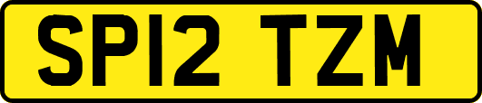 SP12TZM