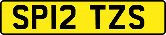 SP12TZS
