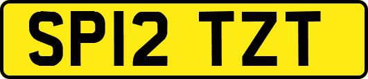SP12TZT