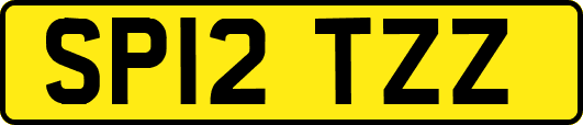 SP12TZZ