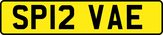 SP12VAE