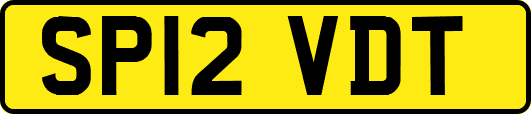 SP12VDT