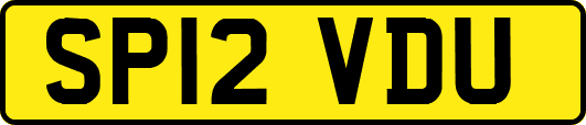 SP12VDU