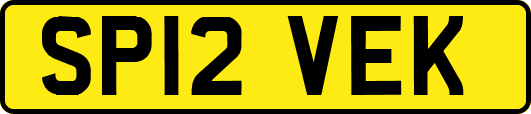 SP12VEK