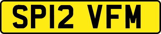 SP12VFM