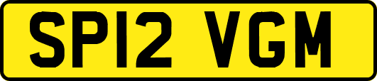 SP12VGM