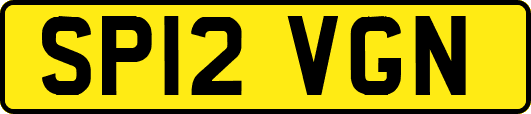 SP12VGN