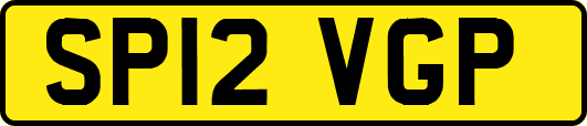 SP12VGP