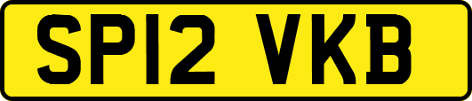 SP12VKB