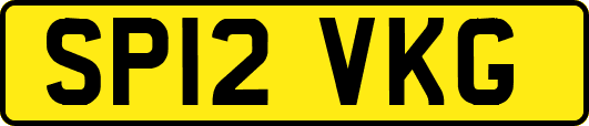 SP12VKG