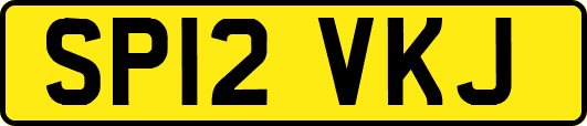SP12VKJ