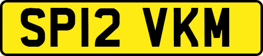 SP12VKM