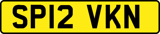 SP12VKN